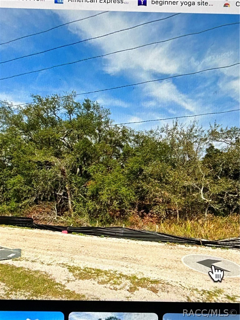 None County Line Road Spring Hill, FL 34608 - Photo 3 of 3