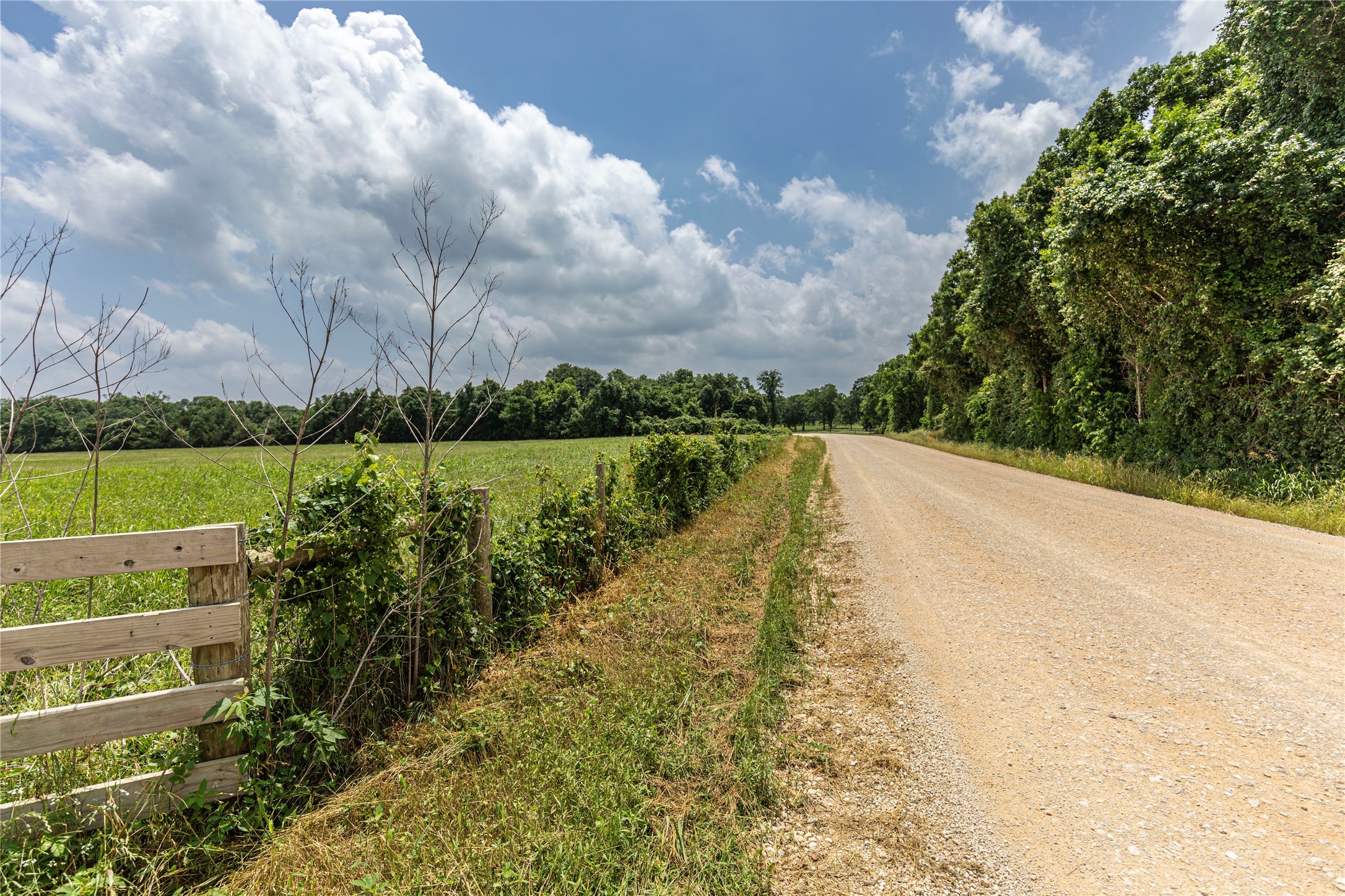 0 Skalak Road Bellville, TX 77418 - Photo 4 of 11