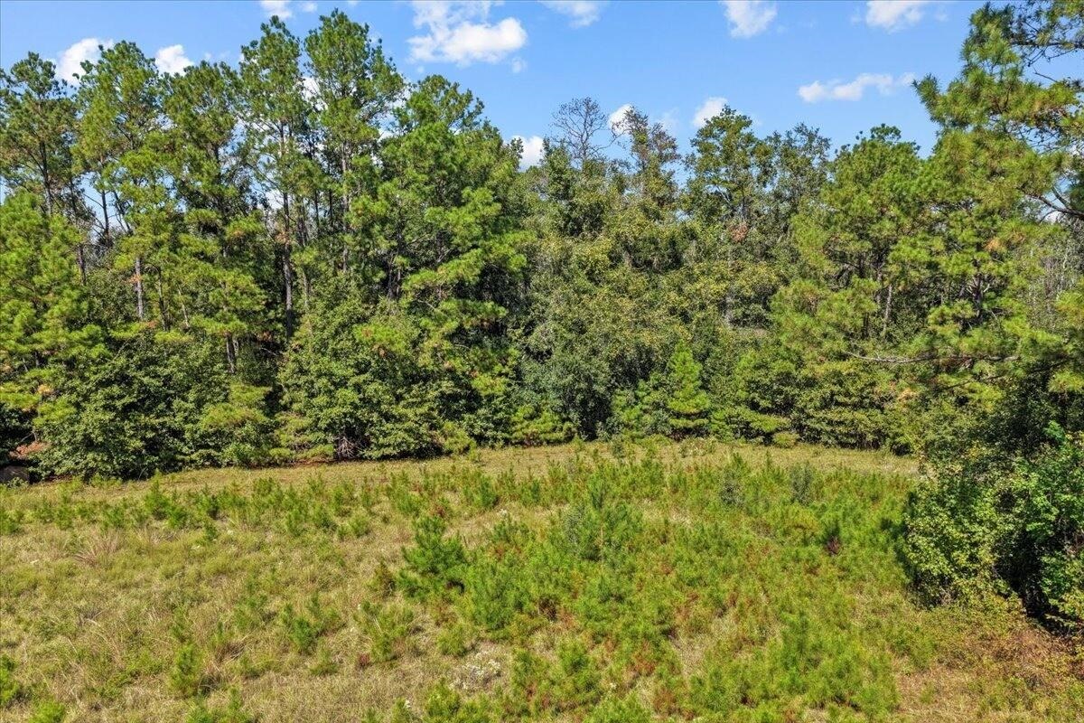 4087 Honey Lake Road Greenville, FL 32331 - Photo 31 of 31