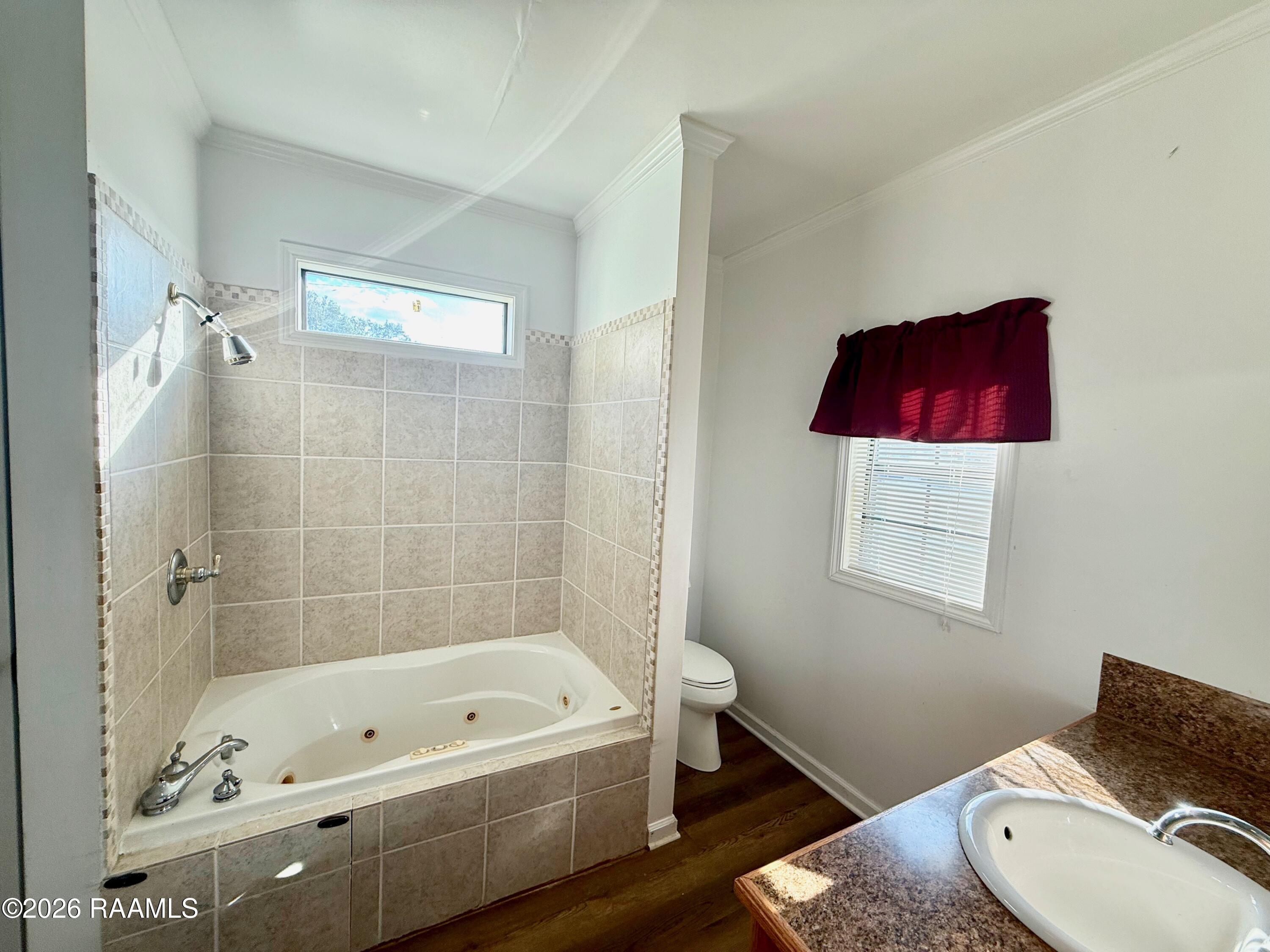 9217 Harold Landry Road New Iberia, LA 70563 - Photo 26 of 42 primary bathroom