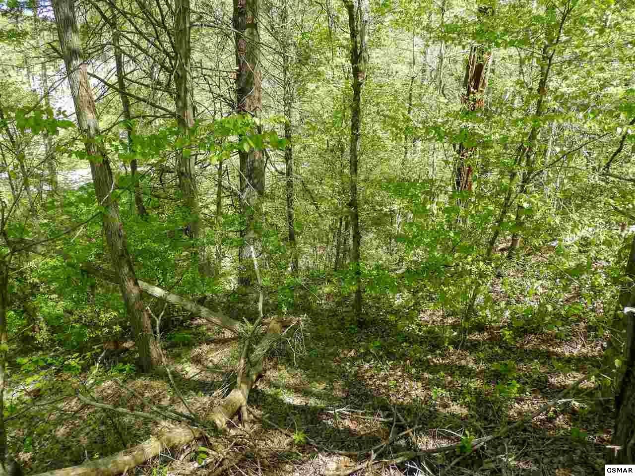 7 Old Birds Creek Road Sevierville, TN 37876 - Photo 6 of 15