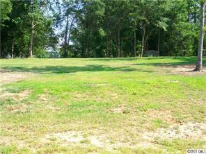481 Rutledge Drive Catawba, SC 29704 - Photo 8 of 8 a ground with trees in the background