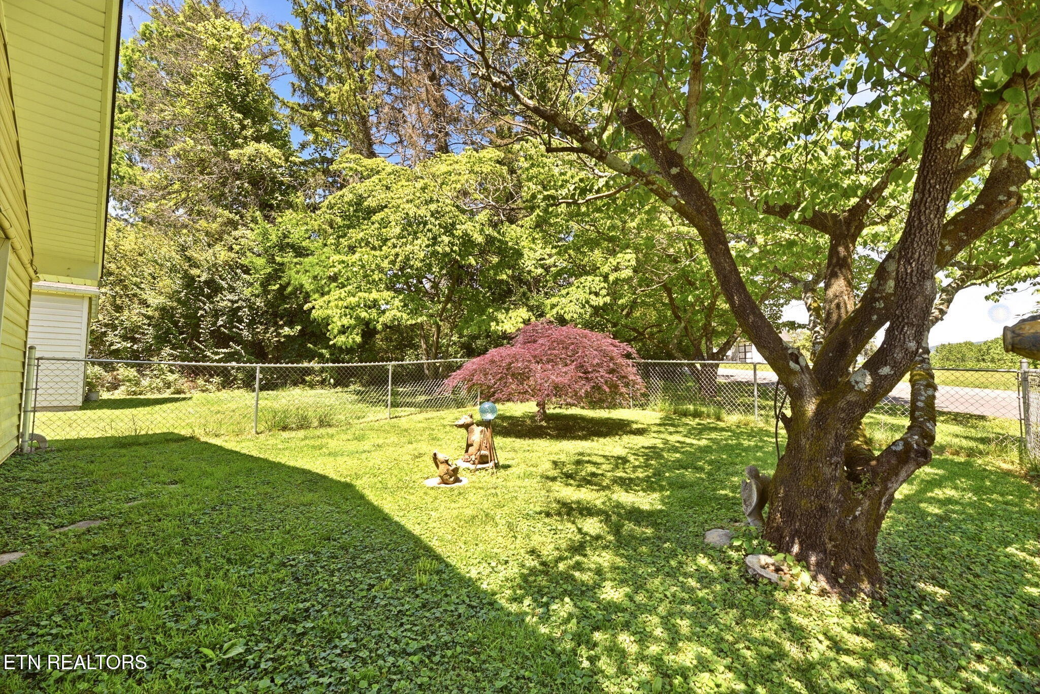 109 Washburn Circle Oak Ridge, TN 37830 - Photo 33 of 53 33-web-or-mls-DSC_7521