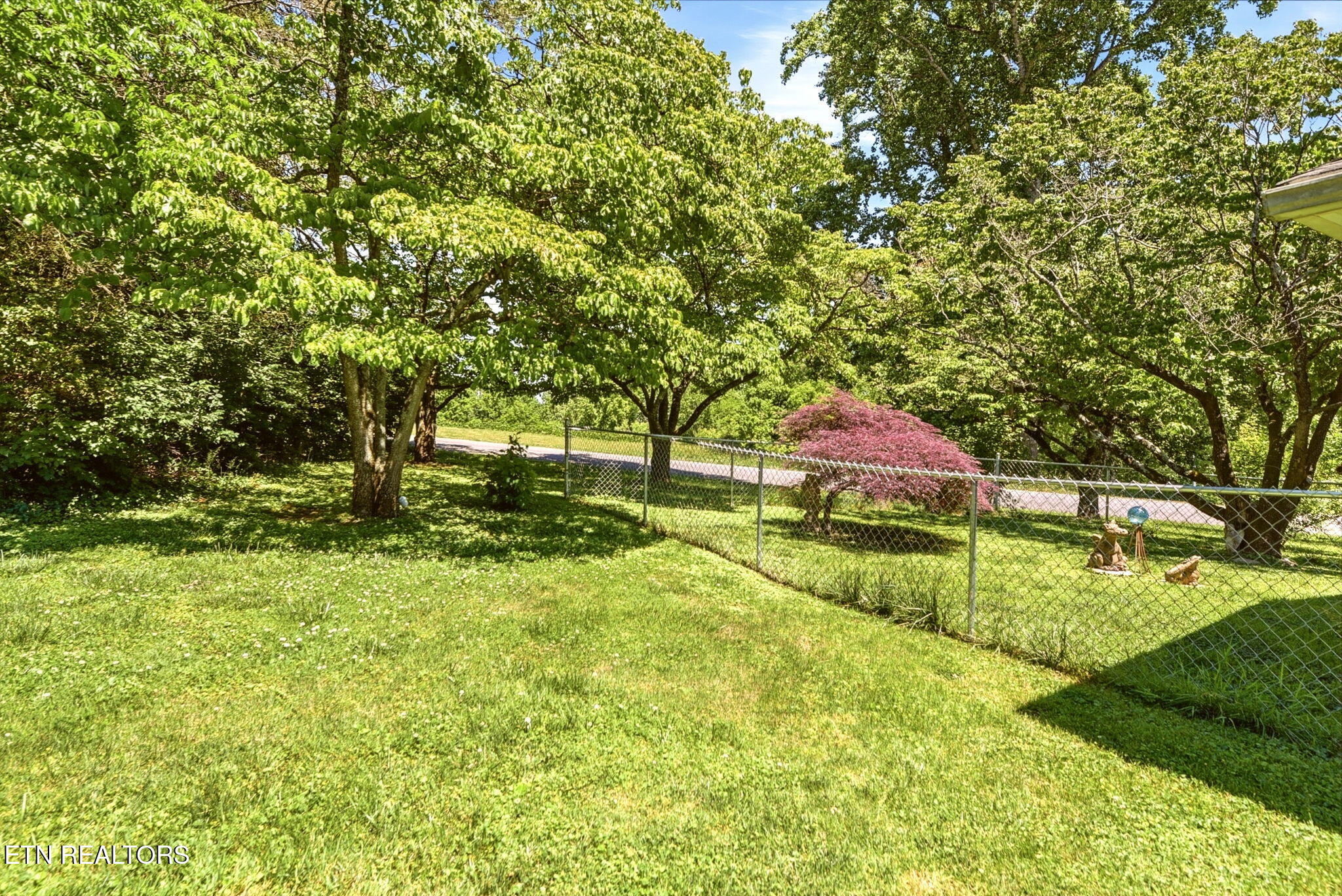 109 Washburn Circle Oak Ridge, TN 37830 - Photo 34 of 53 34-web-or-mls-DSC_7551