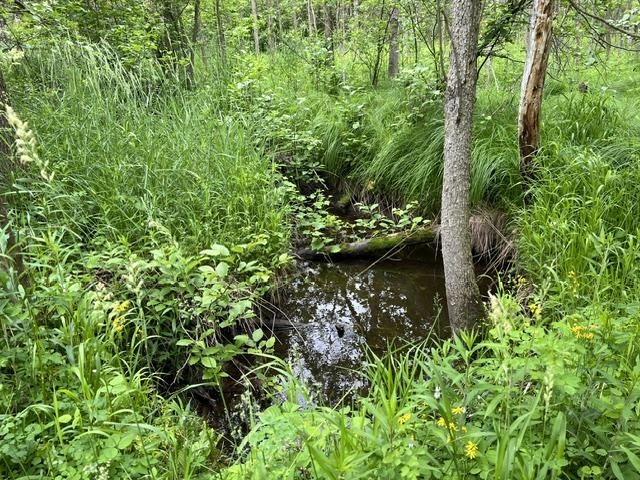 N2050 St Peters Road Kewaunee, WI 54216 - Photo 10 of 27