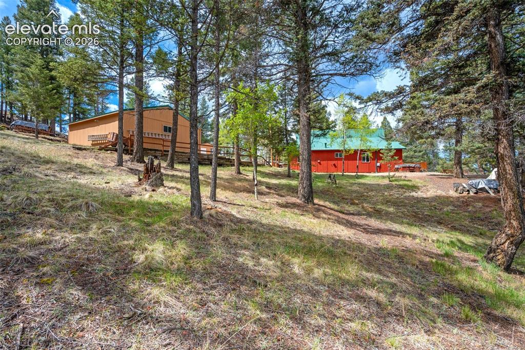 873 Trail Creek Road Lake George, CO 80827 - Photo 24 of 32