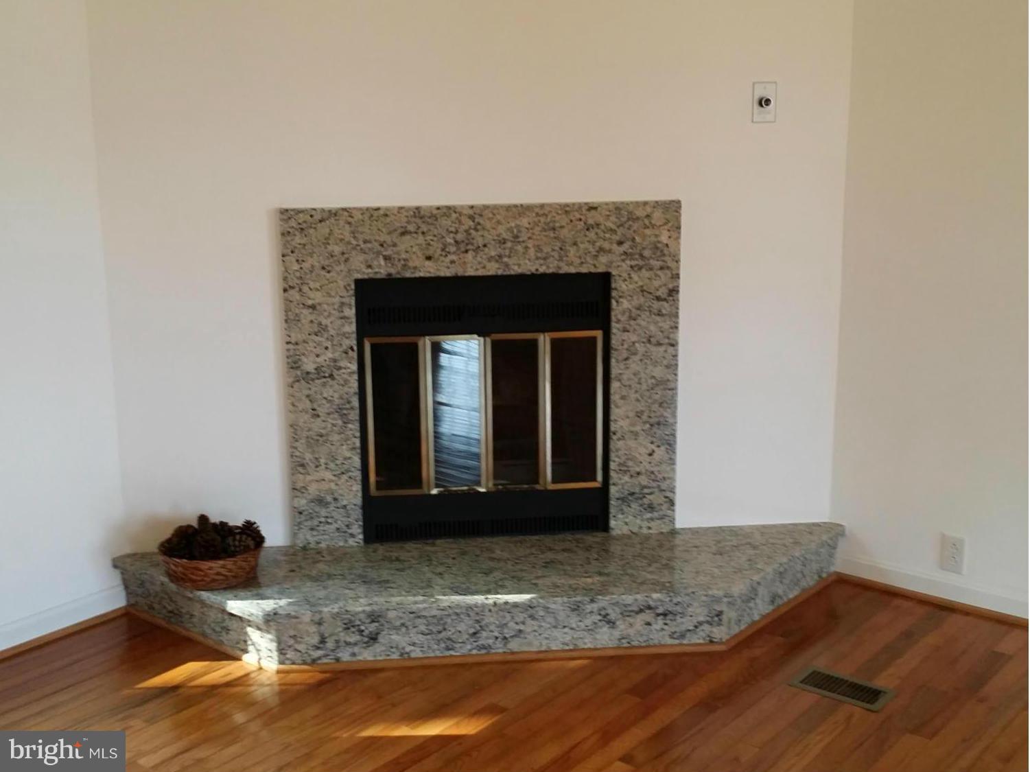 9250 Tetotum Road King George, VA 22485 - Photo 11 of 30 Wood-burning fireplace