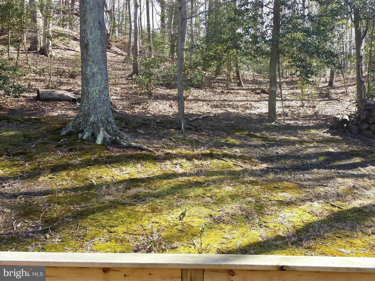 9250 Tetotum Road King George, VA 22485 - Photo 8 of 30 The view from the rear deck