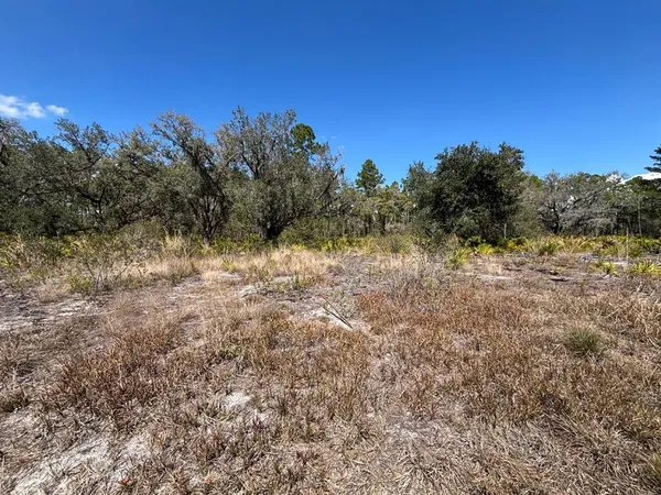 $30,000 | 1006 Palm Avenue, Indian Lake Estates, FL 33843