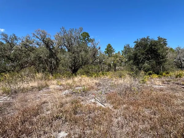 $30,000 | 1006 Palm Avenue, Indian Lake Estates, FL 33843