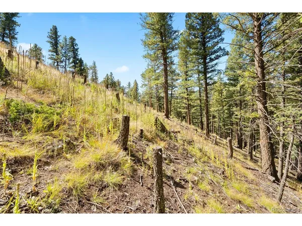 $275,000 | 83 Conifer Drive, Evergreen, CO 80439