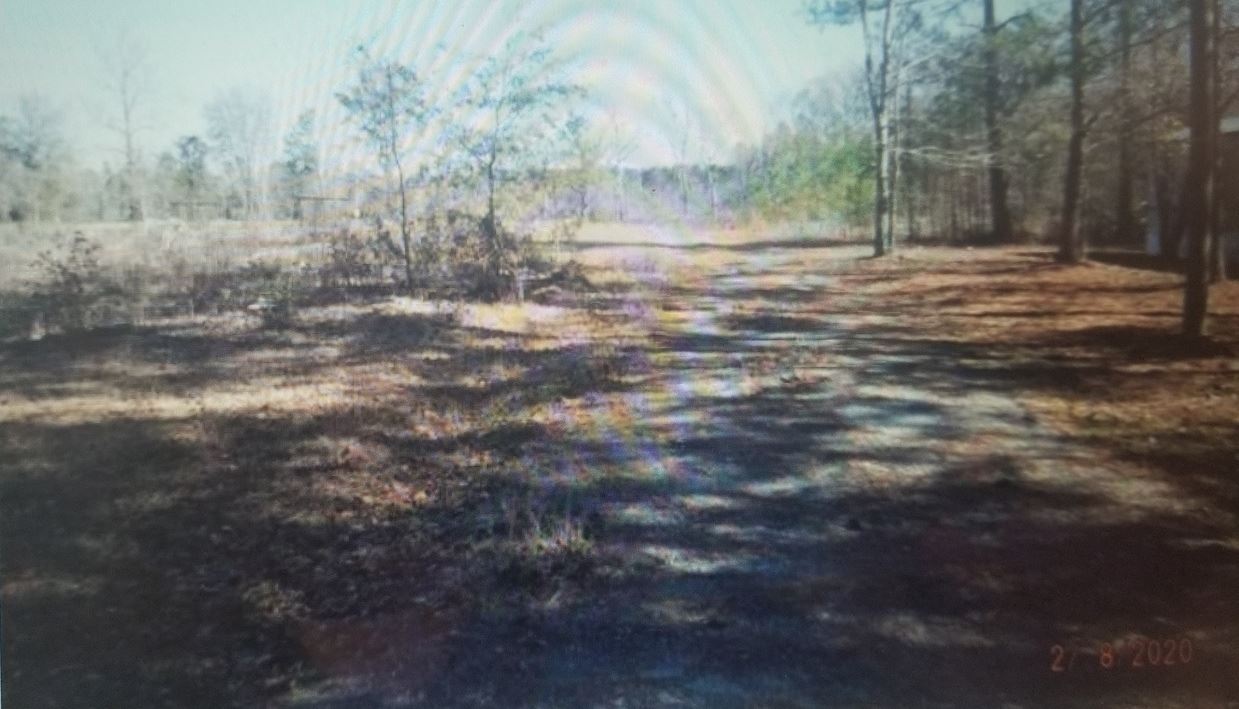 1469 Hudson Road Cope, SC 29038 - Photo 17 of 18