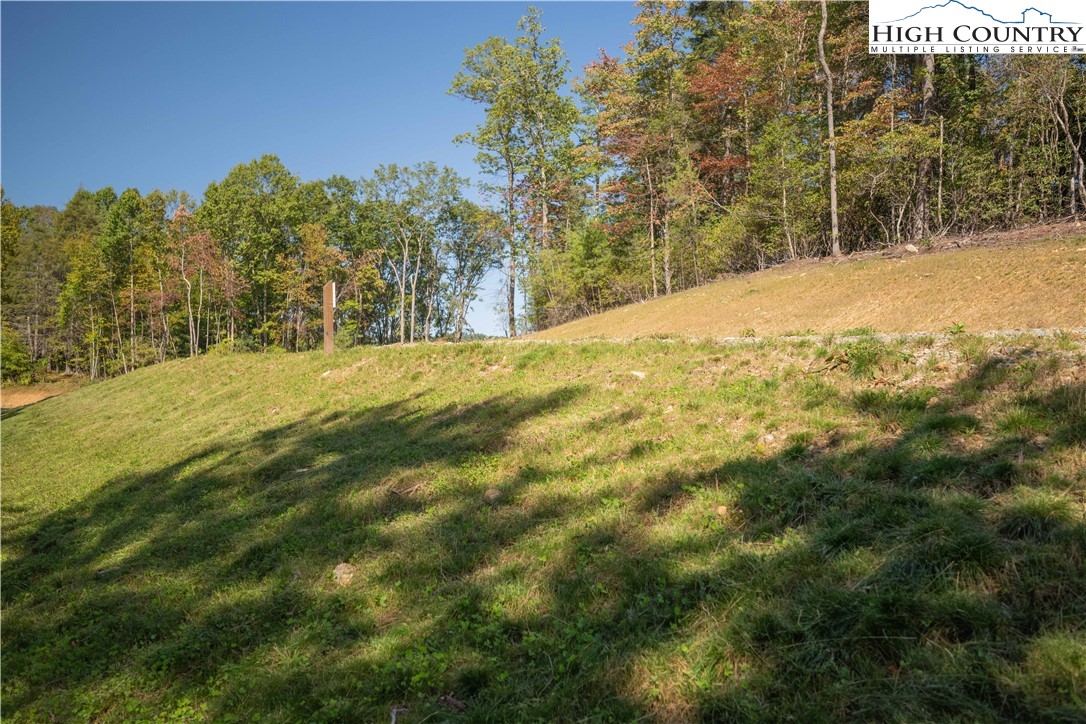 Lot 137 Angelfire Trail Deep Gap, NC 28618 - Photo 4 of 27 a view of a yard with trees