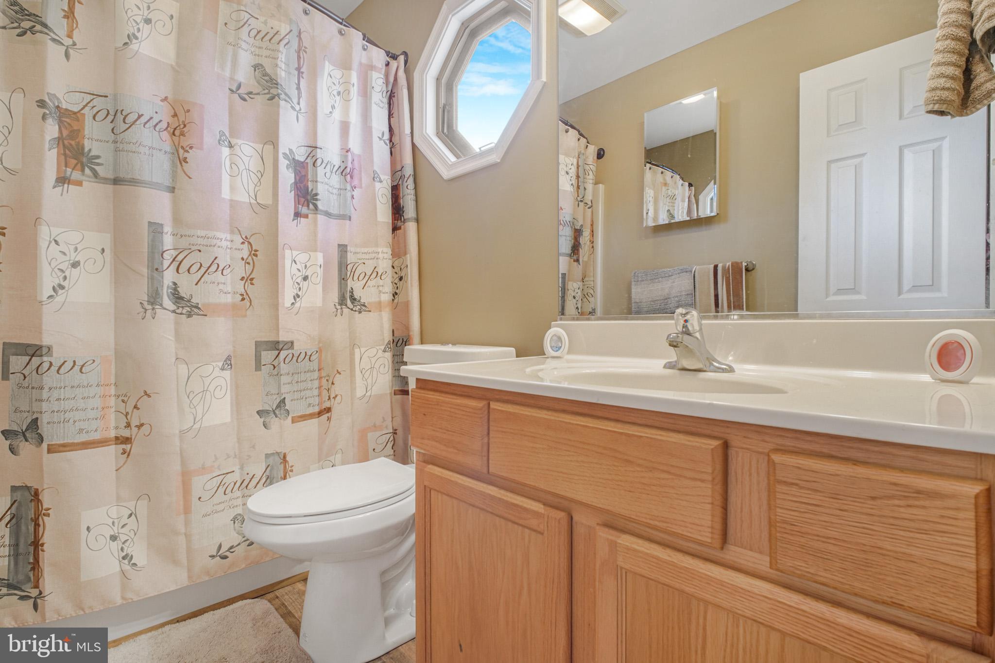 12254 Birkdale Road Ruther Glen, VA 22546 - Photo 17 of 68 a bathroom with a sink a toilet and shower
