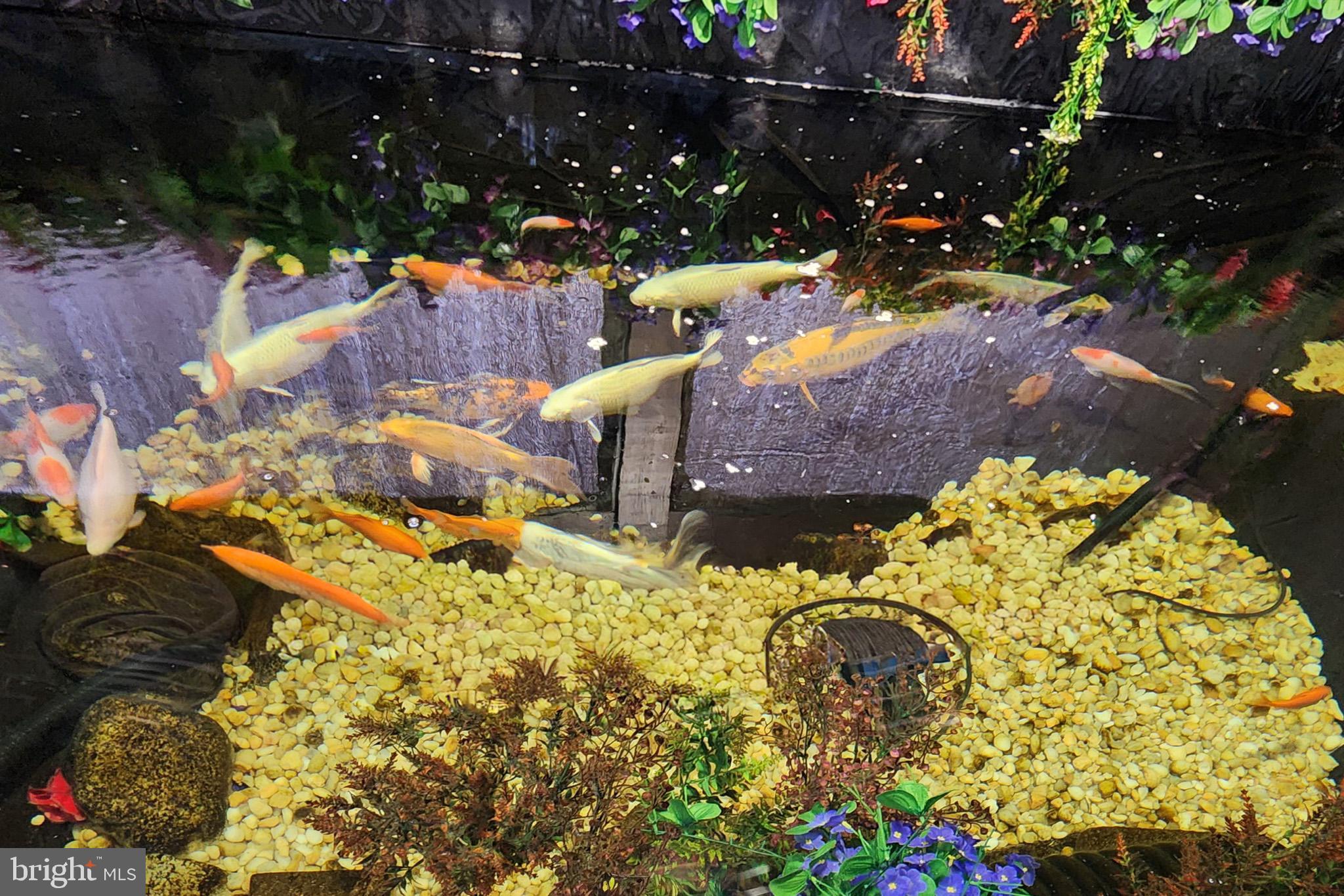 12254 Birkdale Road Ruther Glen, VA 22546 - Photo 37 of 68