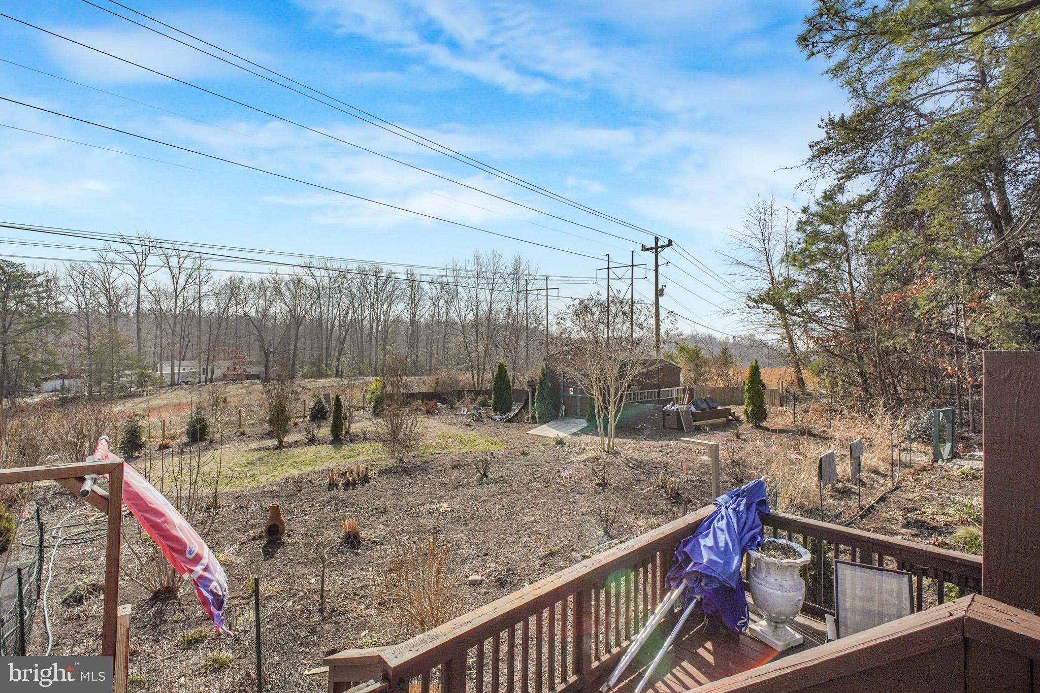 12254 Birkdale Road Ruther Glen, VA 22546 - Photo 45 of 68