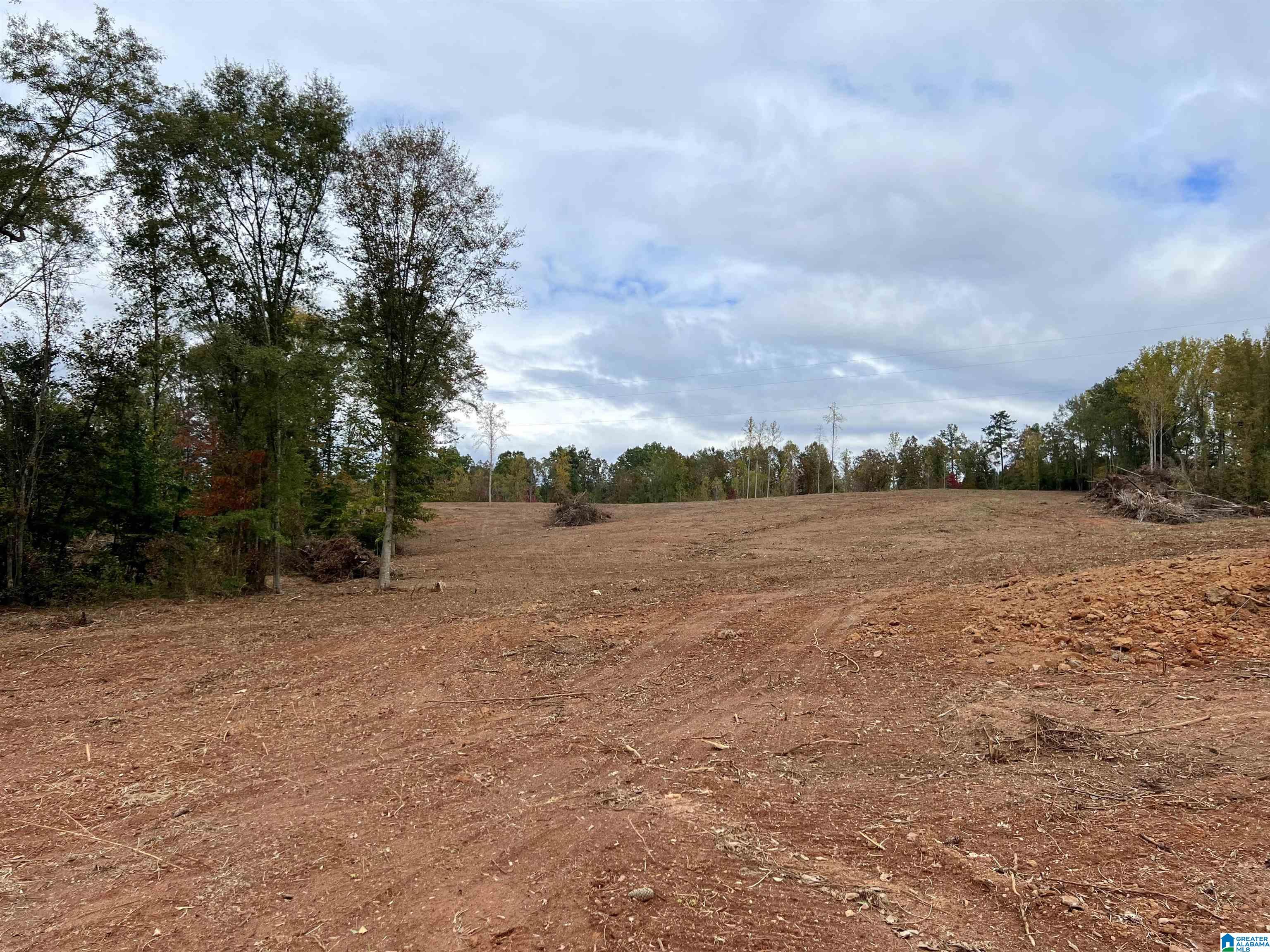 0 County Road 4 Wedowee, AL 36278 - Photo 12 of 24