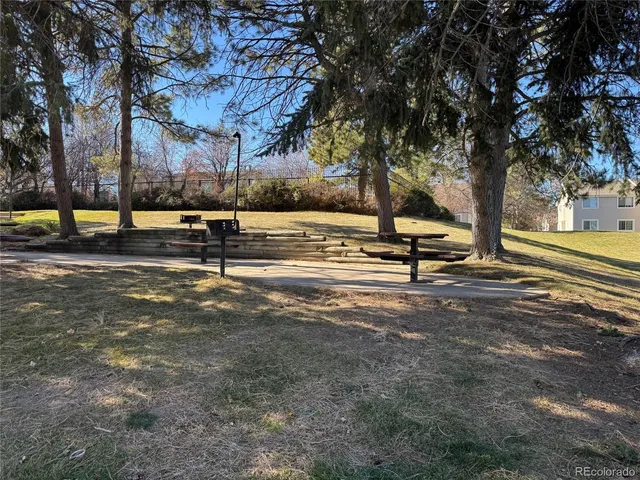 a view of a park with plants and trees