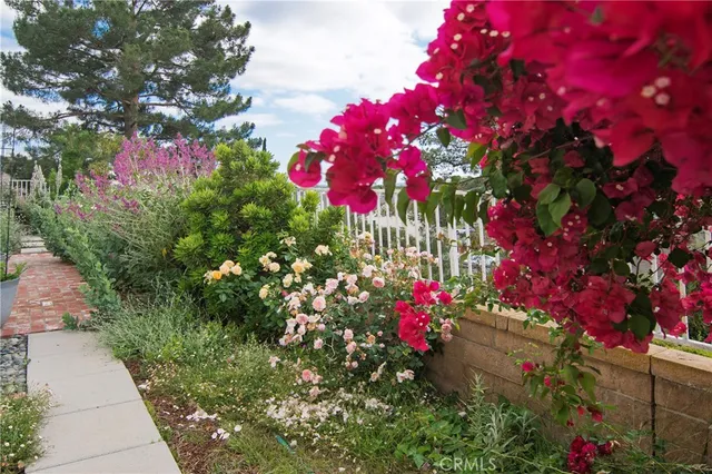 a view of backyard with large trees