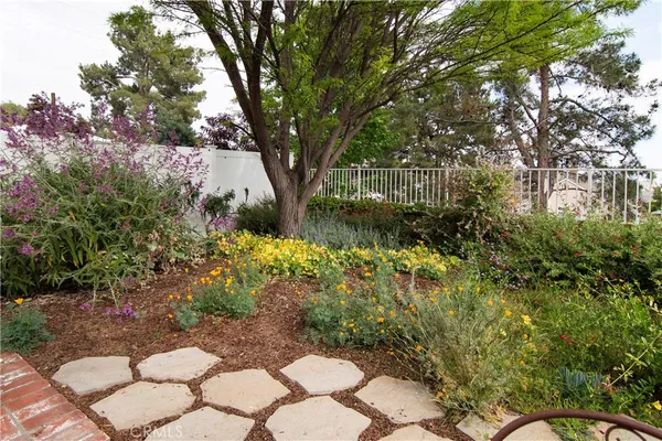 a picture of flowers