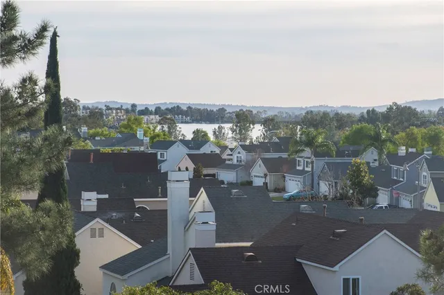 a view of a yard with large trees