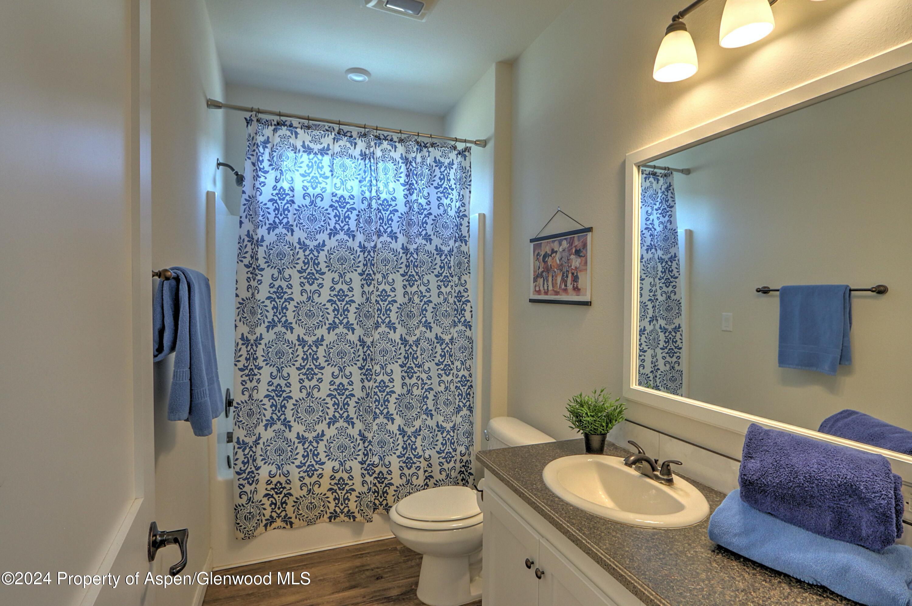 227 Lava Drive El Jebel, CO 81621 - Photo 14 of 38 a bathroom with a sink toilet and shower