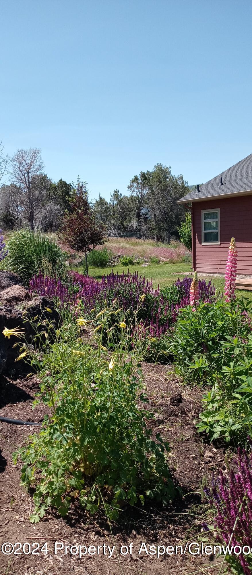 227 Lava Drive El Jebel, CO 81621 - Photo 31 of 38 a view of a garden with a lake