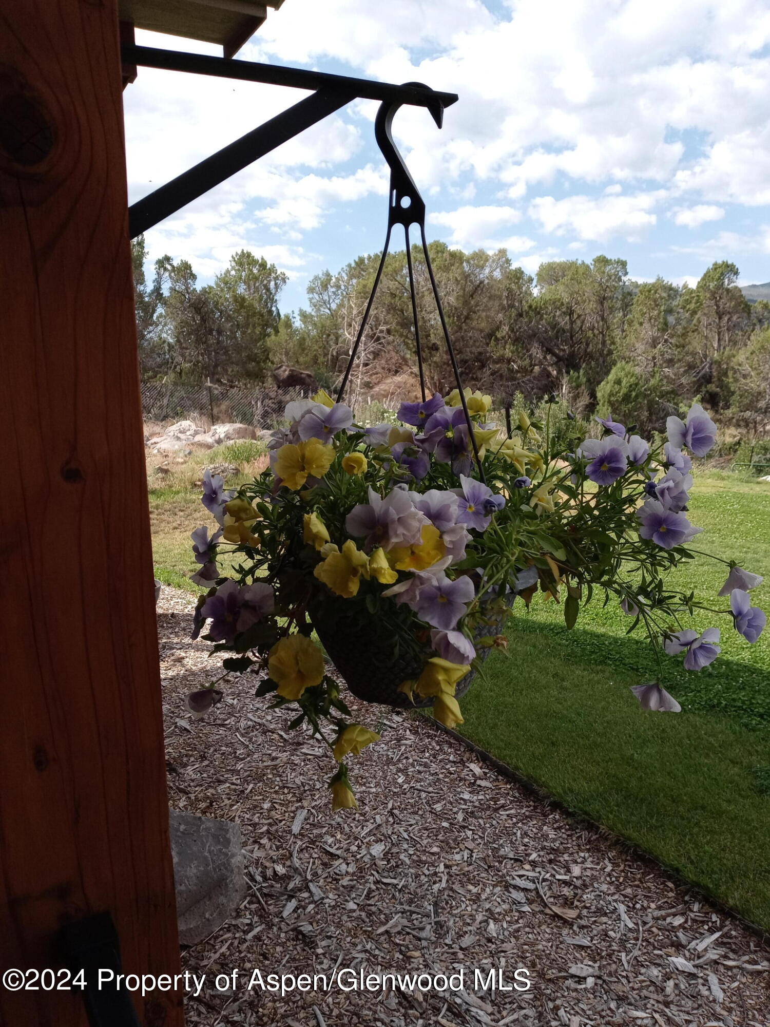 227 Lava Drive El Jebel, CO 81621 - Photo 34 of 38 a view of a outdoor space