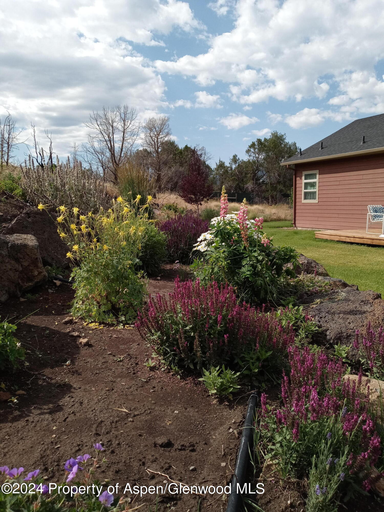 227 Lava Drive El Jebel, CO 81621 - Photo 36 of 38