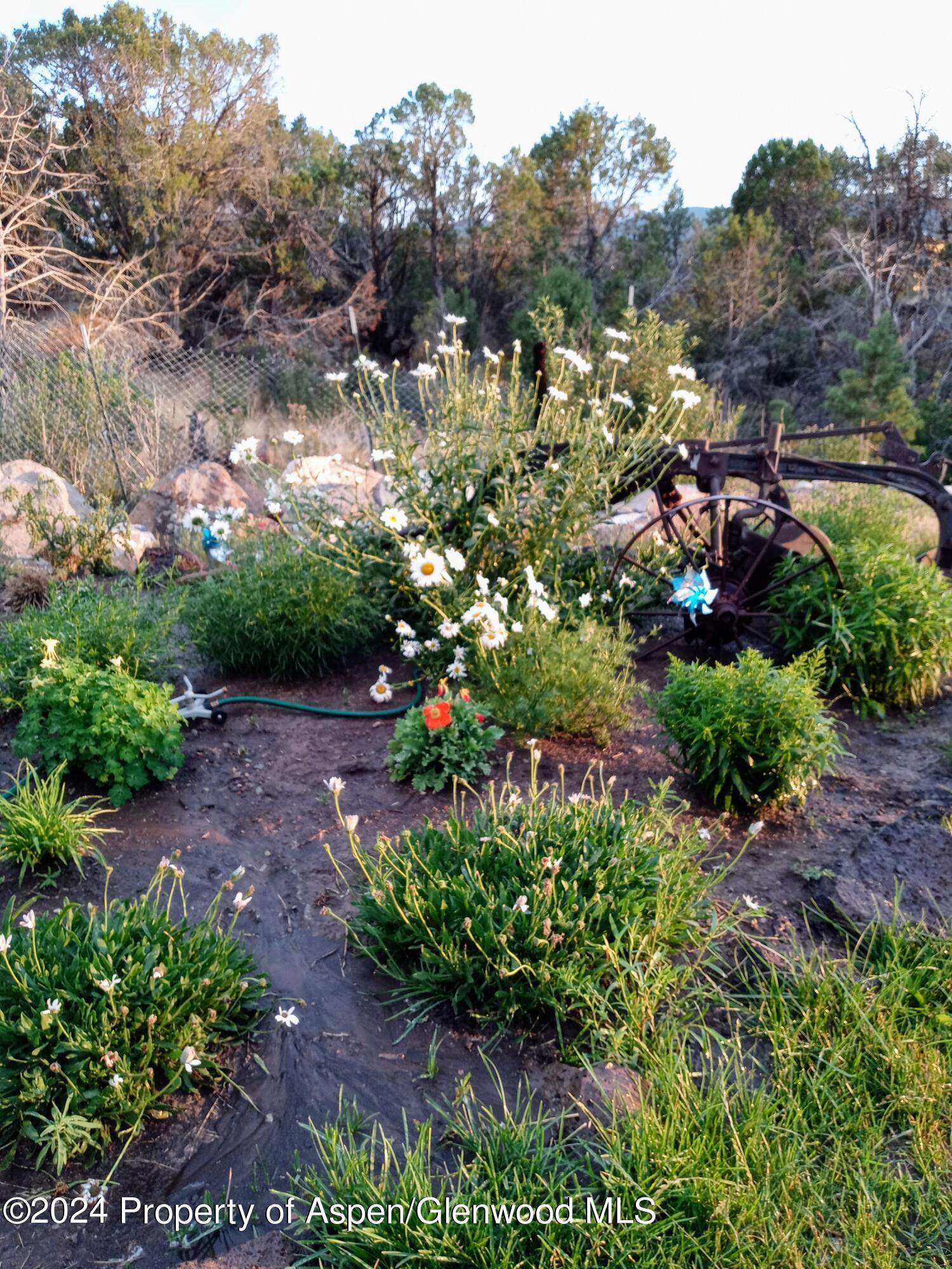 227 Lava Drive El Jebel, CO 81621 - Photo 37 of 38 a view of a garden with flowers