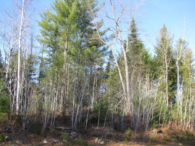 0 Carthage Road Carthage, ME 04224 - Photo 12 of 31 Photo