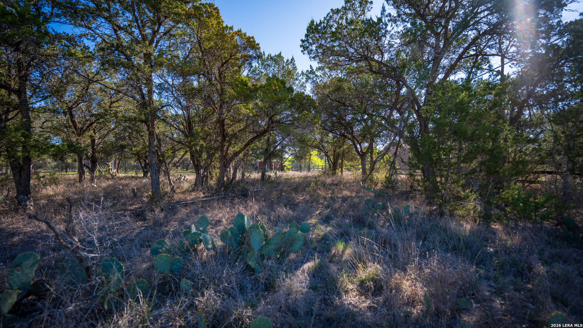 0 Park Lane Garden Ridge, TX 78266 - Photo 13 of 48