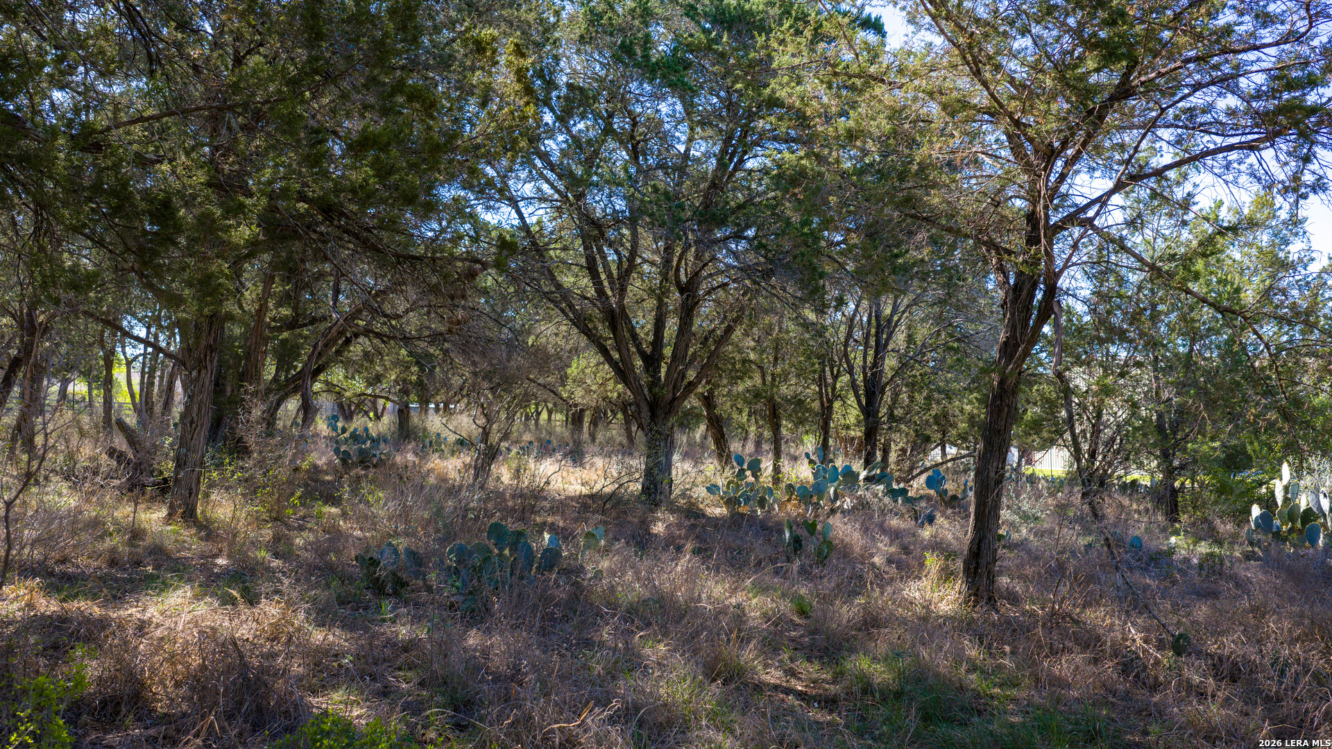 0 Park Lane Garden Ridge, TX 78266 - Photo 32 of 48