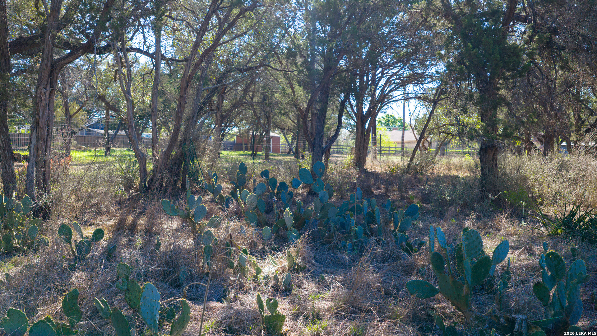 0 Park Lane Garden Ridge, TX 78266 - Photo 33 of 48