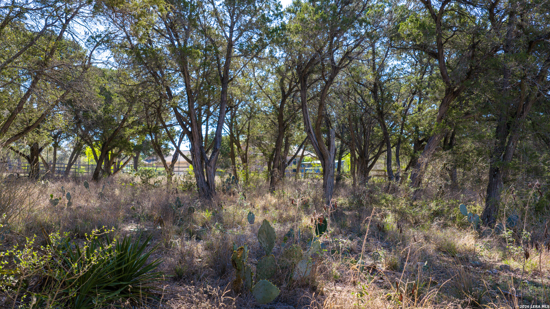 0 Park Lane Garden Ridge, TX 78266 - Photo 36 of 48