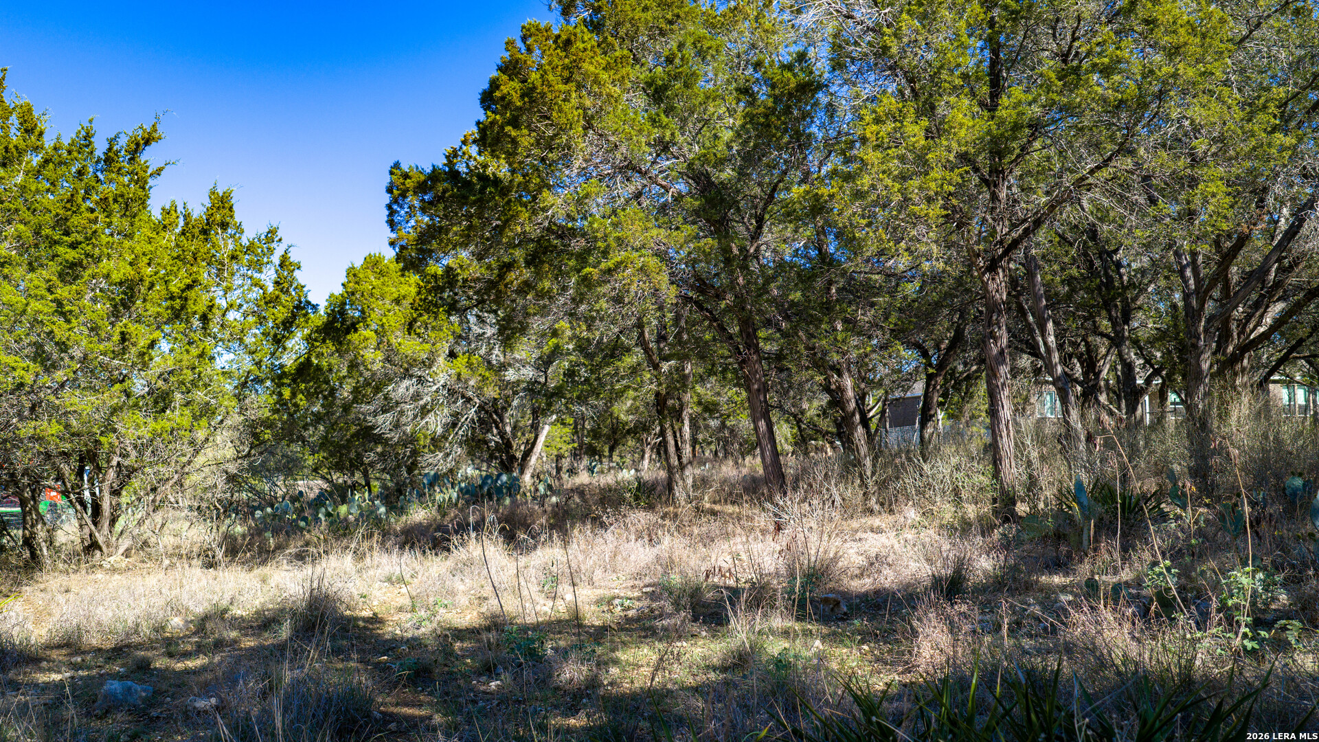 0 Park Lane Garden Ridge, TX 78266 - Photo 41 of 48