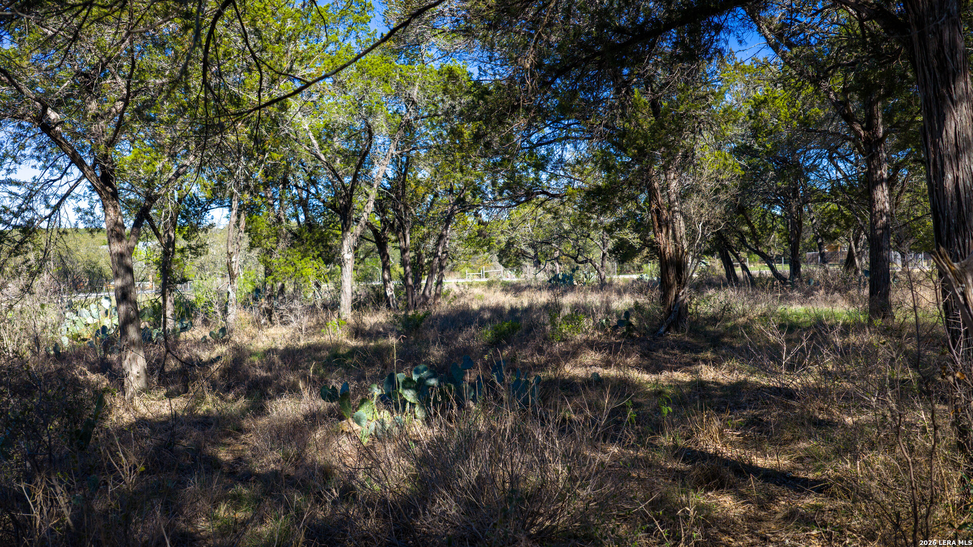 0 Park Lane Garden Ridge, TX 78266 - Photo 42 of 48