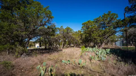 a view of a yard with plants and a trees