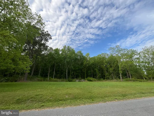 a view of a grassy field with trees in the background