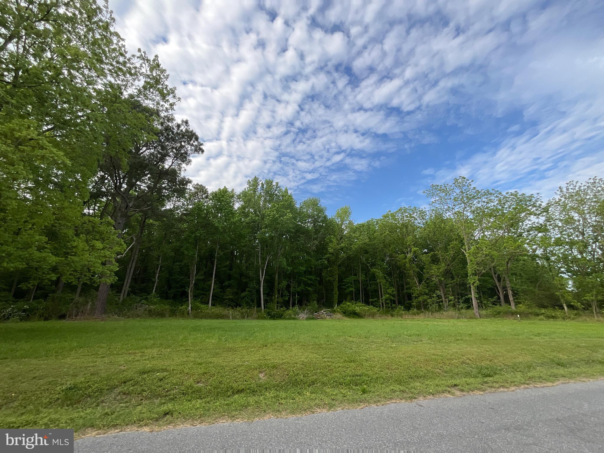 0 Dukes Road Girdletree, MD 21829 - Photo 2 of 11 a view of a grassy field with trees in the background