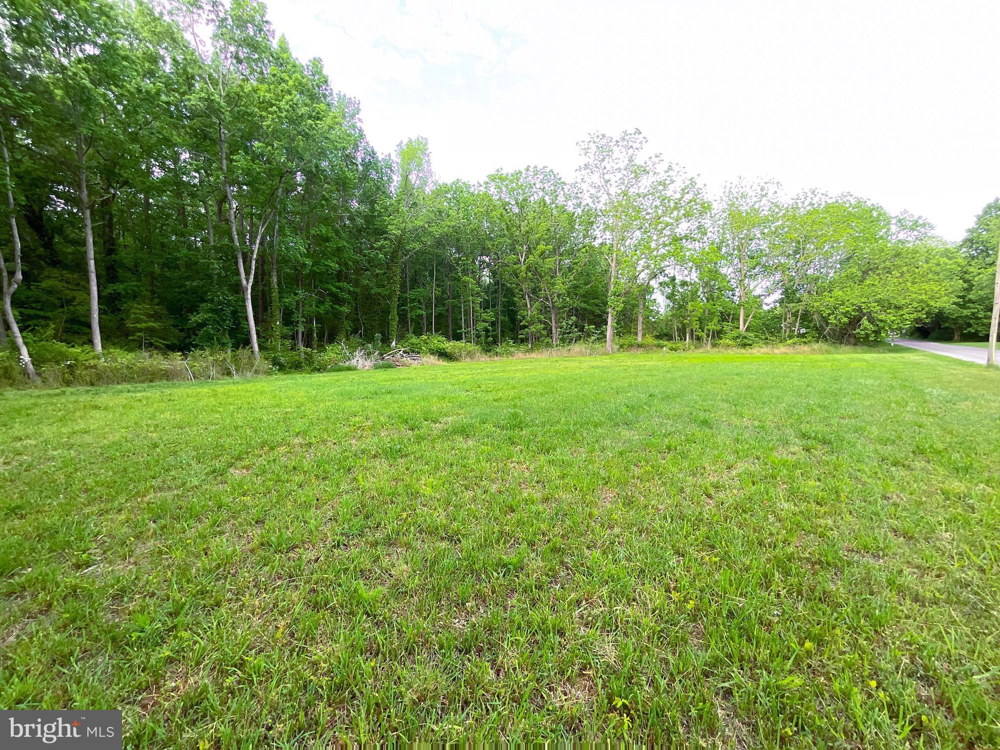 0 Dukes Road Girdletree, MD 21829 - Photo 3 of 11 a view of a grassy field with trees in the background