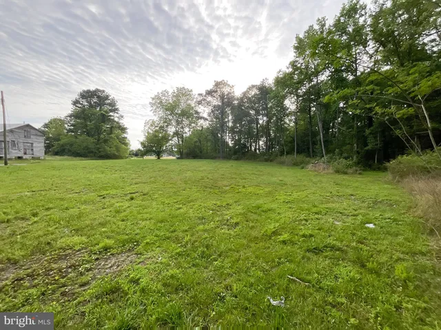 a view of a field with trees in the background