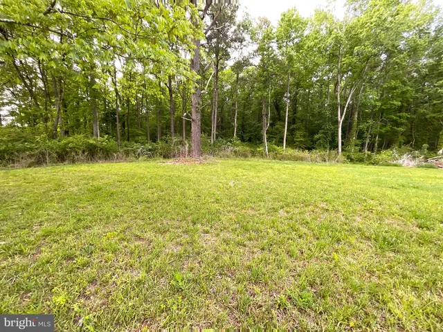 a view of a field with a trees in the background