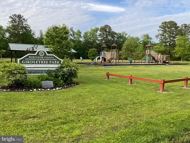 a view of a park with large trees