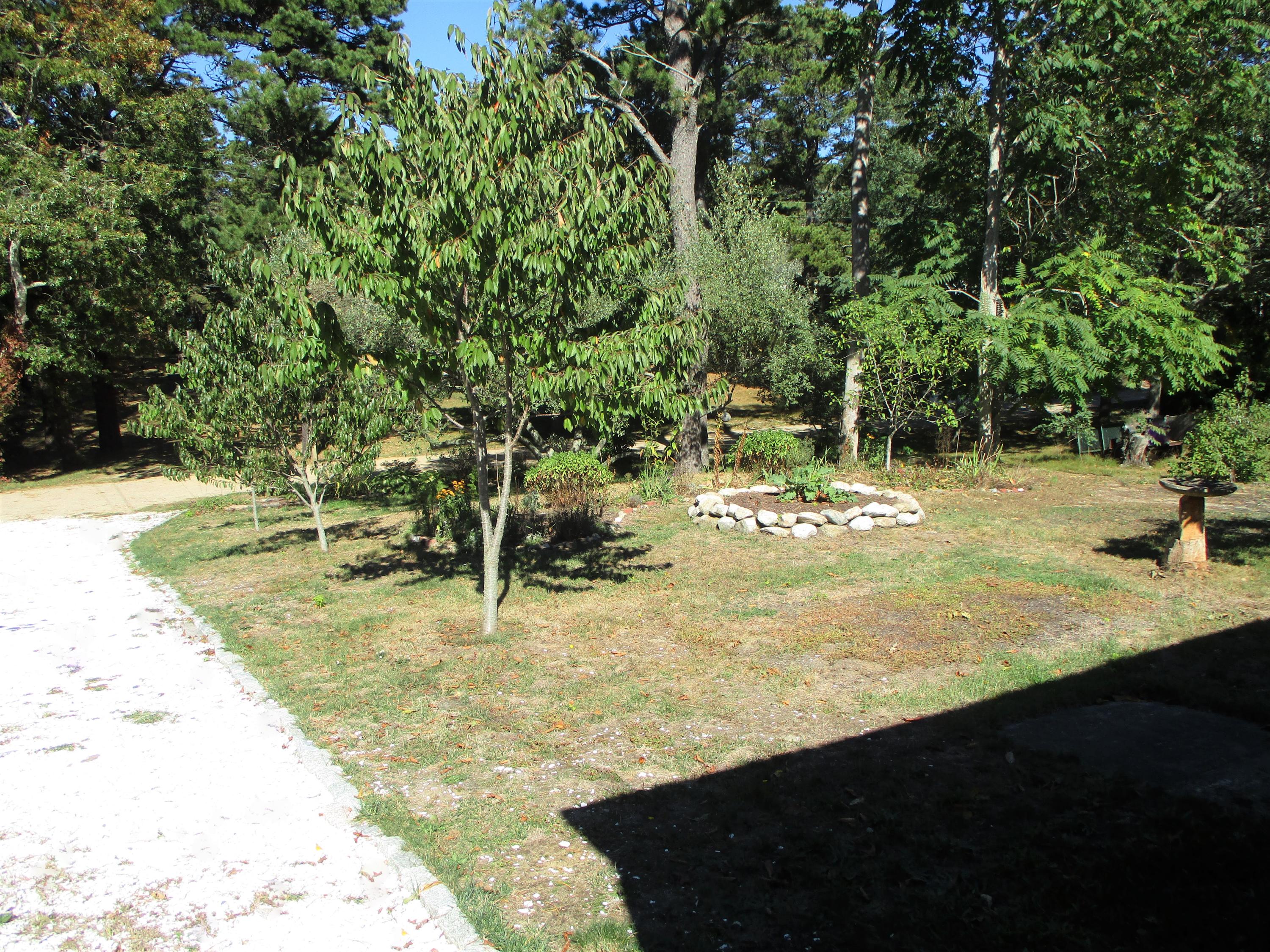 84 Spring Brook Road Wellfleet, MA 02667 - Photo 38 of 41 fIMG_3423