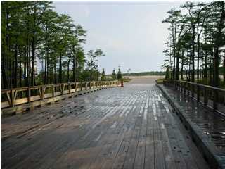 Lot 23 Cypress Ridge Santa Rosa Beach, FL 32459 - Photo 2 of 4 Gallery Image 2