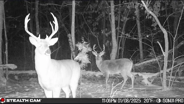 $325,000 | 11237 Wildwood Drive, Versailles, MO 65084