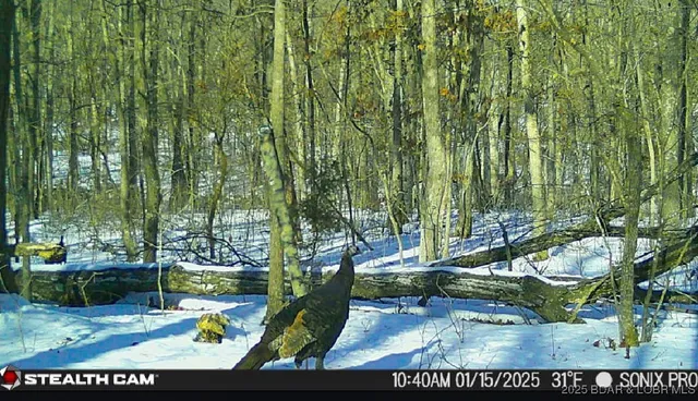 $325,000 | 11237 Wildwood Drive, Versailles, MO 65084