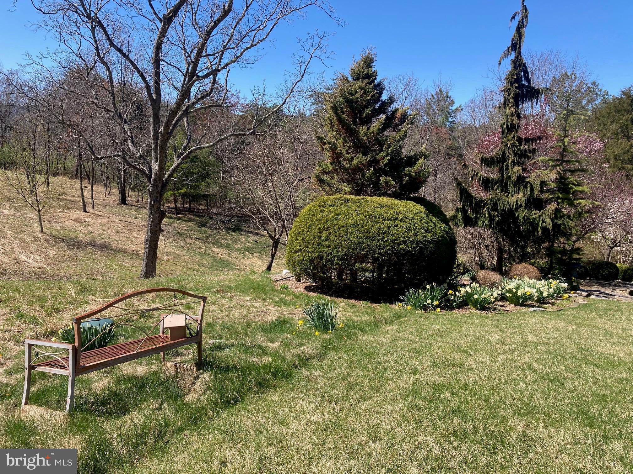 291 Fishel Road Winchester, VA 22602 - Photo 2 of 4 Gallery Image 2