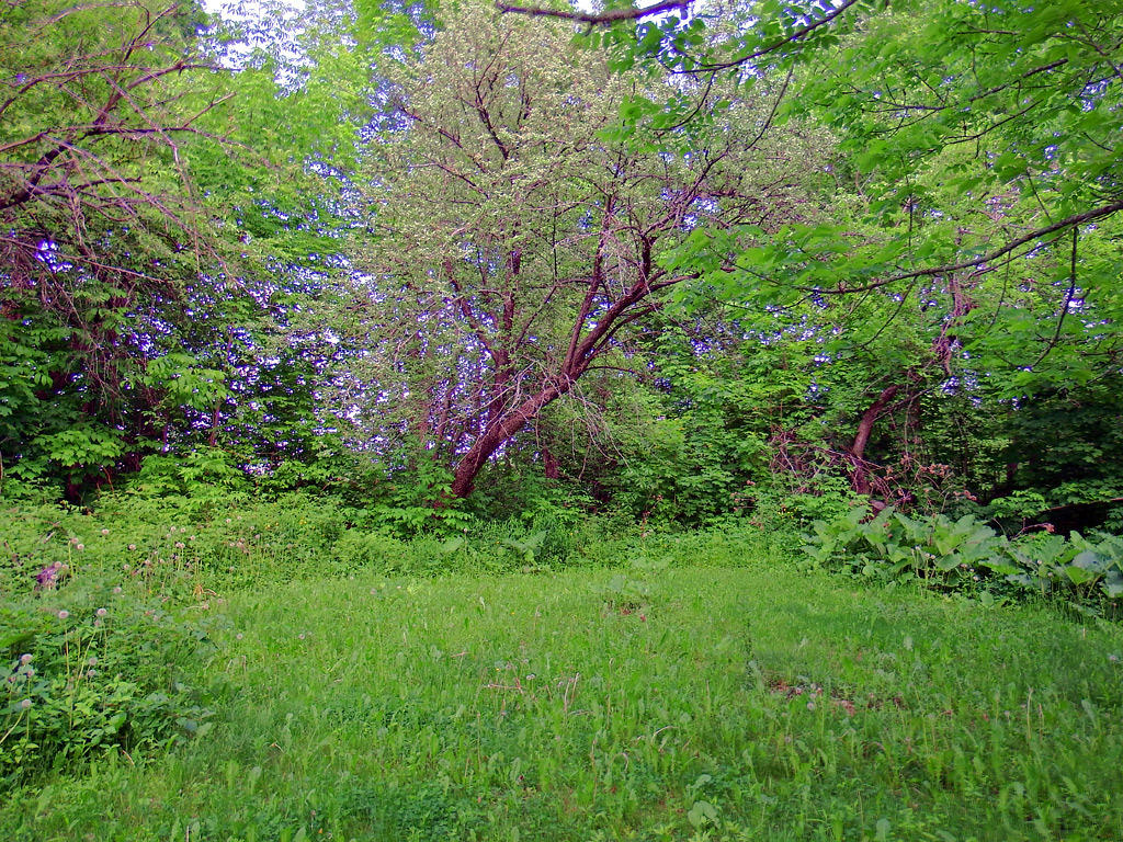505 Jackins Settlement Road Hodgdon, ME 04730 - Photo 26 of 33 505-jackins-settlement-rd-5